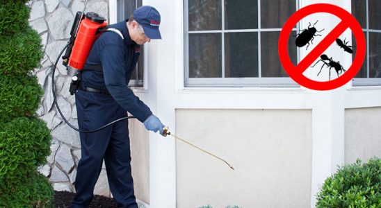 Ayrancılar Böcek İlaçlama böcek ilaçlama ve haşere kontrolü — ilaclama-tr.com